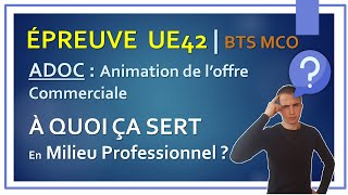 BTS MCO  Epreuve UE42  ADOC Animation Commerciale  A quoi ça sert dans le monde professionnel [upl. by Perceval]