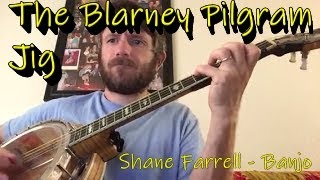 The Blarney Pilgram Jig [upl. by Eniliuqcaj]