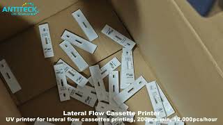 Lateral Flow Printer For Lateral Flow Cassettes Printing  UV Printer For Rapid Test Manufacturing [upl. by Lussier]