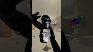 the FIGHT  animated⚔️☠️ gorillatag animation memes [upl. by Obeded]