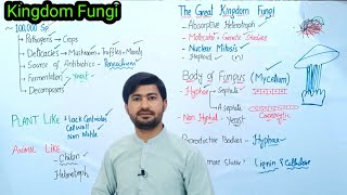 81 Kingdom Fungi  Introduction of Fungi  Body of Fungi Fsc Biology class 11 [upl. by Hardwick]