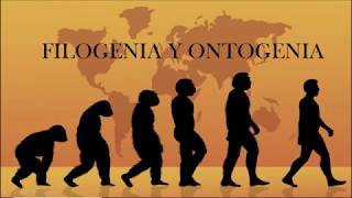 Conceptos de Filogenia y Ontogenia [upl. by Efar]