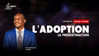 L ADOPTION VOL2 La prédestination1 [upl. by Pavier]