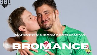 Marcus Stoinis and Adam Zampas BROMANCE I Meme Compilation [upl. by Ahilam66]