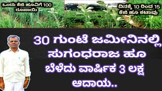 30 ಗುಂಟೆ ಜಮೀನಿನಲ್ಲಿ ಸುಗಂಧರಾಜ ಹೂ ಬೆಳೆದು ವಾರ್ಷಿಕ 3 ಲಕ್ಷ ಆದಾಯflowerplants [upl. by Oiliruam]