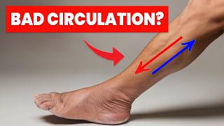 The ONLY 3 Exercises you NEED to Improve Leg Circulation [upl. by Sitnerp614]