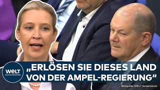 HAUSHALTSKRISE quotRücktrittserklärungquot AfDChefin Alice Weidel fordert Olaf Scholz zum Rücktritt auf [upl. by Sladen455]