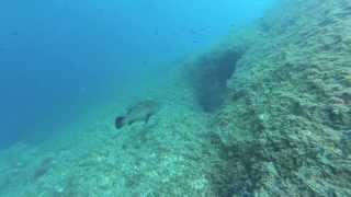 ISLAS MEDES PARAÍSO DEL SNORKEL [upl. by Weber]