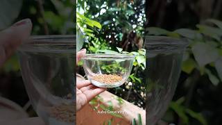 Fenugreek Hair Mask For Long Strong Silky Hair shorts hairgrowth haircare viral diy [upl. by Orran]