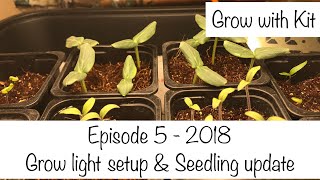 DIY LED Grow light setup amp Seedling update  Episode 5  4th February 2018 [upl. by Nabroc]