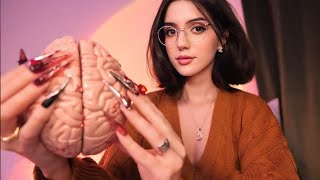 ASMR Brain Melting Triggers to Help You Sleep [upl. by Anicart]