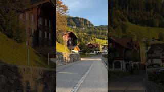 Switzerland village Beatenberg nature swissbeauty switzerland mountains beautiful alps [upl. by Bonacci]