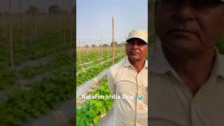 Netafim India Drip Irrigation 💧🇮🇳 [upl. by Airdnalahs696]