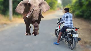 elephant attacks in man l elephant attack on village bays in forest l wild elephant attacks l [upl. by Eineg238]