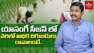 Rabi Season Paddy Farming యాసంగీ రబీ సీజన్ లో వరిలో అధిదిగుబడులు రావాలంటే hmtv Agri [upl. by Wyn445]