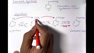 Isoniazid Synthesis Medicinal Chemistry [upl. by Aldric604]