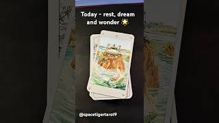 Message for today tarot tarotmessage tarotshorts astrology tarotreader [upl. by Alram]