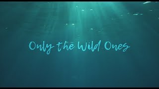 Dispatch  quotOnly The Wild Onesquot Official Music Video [upl. by Zetrok]