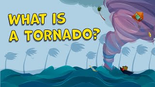 What is a Tornado How is a Tornado Formed Tornado Facts  Tornado Facts for Kids  Tornados [upl. by Ahseryt394]