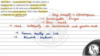 Neurospora  an ascomycetes fungus has been used as a biological to [upl. by Monika]