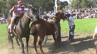 UNA COPLA EN LA LLANURA MONTA ESPECIAL KATO ZAMACONA [upl. by Alahs]