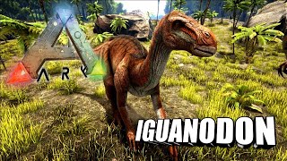 Taming A Iguanodon  Ark Survival Evolved  The Island [upl. by Nivlac]