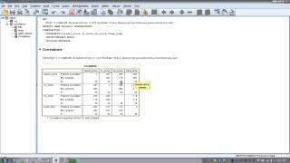 How to Use SPSS  Point Biserial Correlation [upl. by Una]