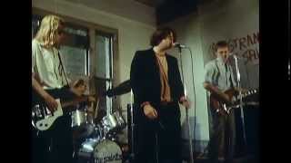 The Saints  Im Stranded 1976 [upl. by Hardden]