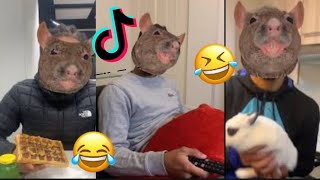 COMPILATION  LE RAT 🤣🐀  20232024 [upl. by Ilime838]