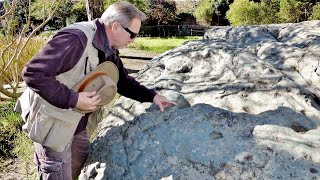 Cupule amp Pecked Curvalinear Nucleated Petroglyph Boulder  California [upl. by Esimorp]