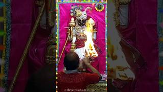 4102024 Dwarkadhish Live Darshan  Shringar Aarti  Dwarka Mandir  द्वारका लाइव  द्वारकाधीश [upl. by Olney984]