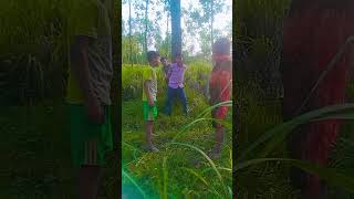 basanti nach basanti in kutto ke samne nachna mat trending funny youtubeshorts comedy viral [upl. by Lilhak248]