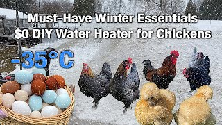 Effective Strategies to Help Chickens Survive the Cold 0 DIY Water Heater amp Tasty Meal [upl. by Rudin]