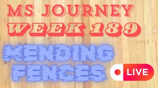 Mending Fences  MS Journey Update Week 189 LIVE [upl. by Ynnej314]