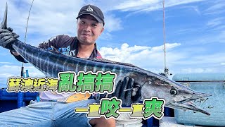 【台客去船釣】超級近海綜合池！再度解鎖新魚種，輕鬆亂搞大爆桶！feat錦豐順娛樂海釣船 [upl. by Yur576]