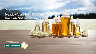 Meadowfoam Seed Oil  A Uniquely Stable Natural Oil for Personal Care Products [upl. by Gualterio89]