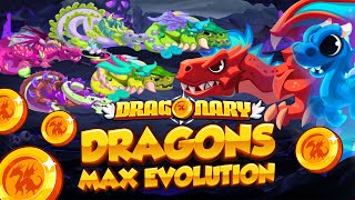 RARE DRAGON MAX EVOLUTION AT LEVEL 30 in DRAGONARY  HOW TO EARN CYT IN DRAGONARY OBSIDIAN 1000 [upl. by Adnirim]