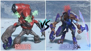 Halo Infinite  Grunts VS Jackals Forge AI Battle [upl. by Forster338]