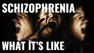 What its like to have schizophrenia [upl. by Savick615]