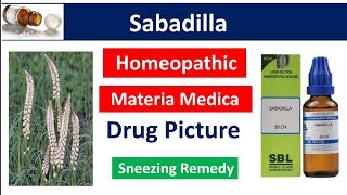 Sabadilla Homeopathic Medicine  Drug Picture  Materia Medica bhms materiamedica sabadilla [upl. by Ivanna31]