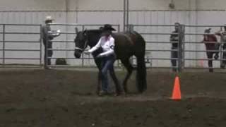 4H Western Horse Showmanship [upl. by Merrily]