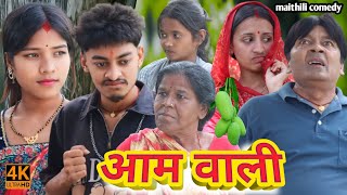 आम वाली aam wali  maithili comedy  damodar  khudra official  chalki [upl. by Attenra]