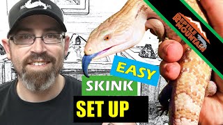 Blue Tongue Skink Setup Simple  Ep 85 [upl. by Ehcar]