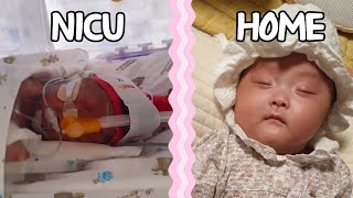 Baby born at 26 Weeks  NICU [upl. by Standing374]