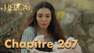 Hercai  Chapitre 267 [upl. by Celeski]