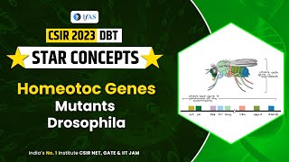 HOMEOTOC GENES MUTANTS DROSOPHILA I CSIR2023I [upl. by Gibbeon505]