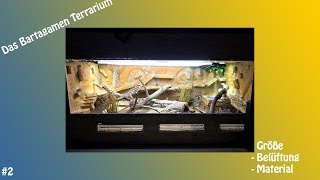 Das Bartagamen Terrarium Größe und Materialien Video 002 [upl. by Lemor]