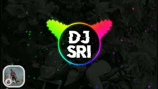 Reddy gari ammai song  Afroz Ali  Aishwarya reddy new dj songdj sri [upl. by Heck]