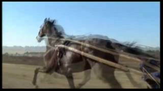 Varenne un atleta chiamato cavallo  TRAILER [upl. by Elyc82]