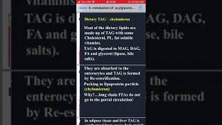 Metabolism of triacylglycerol and phoshoglycerols 4 [upl. by Ertsevlis212]